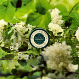 White Tea & Elderflower Body Yogurt