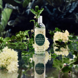 White Tea & Elderflower Fragrance Mist