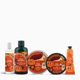 The Ultimate Sugar Pumpkin Collection